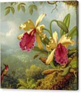 Orchids And Hummingbird 4 Canvas Print
