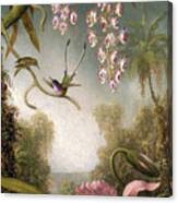Orchids And Spray Orchids With Hummingbirds Canvas Print