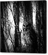Owl In The Forest In Black And White Canvas Print
