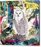Owl Laureate Canvas Print