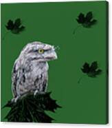 Owl On The Leafs Canvas Print