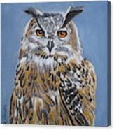 Owl Orange Eyes Canvas Print