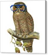 Owl Sitting On A Branch With Blue Glasses Canvas Print
