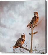 Owls At Dusk - Stormy Sky Canvas Print