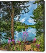 Oxbow Bend In Color Canvas Print