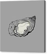 Oyster White Canvas Print