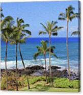 Painted Hawaiian Palms Canvas Print