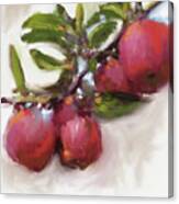 Painterly Apples- Art By Linda Woods Canvas Print
