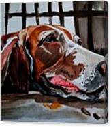 Painting Bassethound Portrait Pet Dog Art Domesti Canvas Print