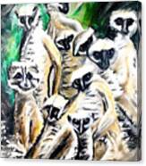 Painting Meerkats Animal Background Cute Illustra Canvas Print