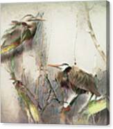 Pair Of Blue Herons Canvas Print