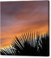 Palm Leaves And Soft Clouds At Sunset Canvas Print