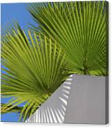 Green Palm Leaves, Blue Sky And White Wall Of A Modern Finca 1 Canvas Print