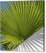 Green Palm Leaves, Blue Sky And White Wall Of A Modern Finca 2 Canvas Print