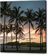 Palm Tree Sunset, South Beach, Miami, Florida Canvas Print