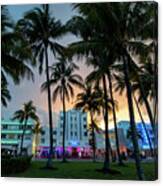 Palm Trees On Ocean Drive South Beach Miami At Night Canvas Print