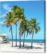 Palm Trees On The Beach, Key Biscayne, Florida Canvas Print