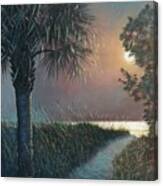 Palmetto Moon With Path Canvas Print