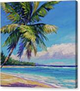 Palms On Tortola Canvas Print
