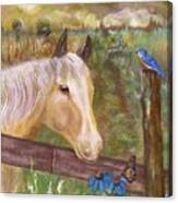 Palomino Farm Horse Canvas Print