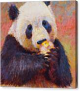 Panda Eating An Apple Canvas Print