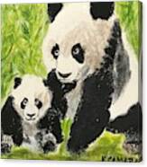 Pandas Canvas Print