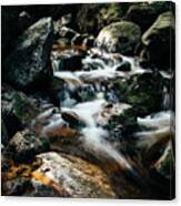 Picturesque River Hidden In The Jizera Mountains Canvas Print
