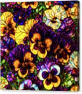 Pansies - Stained Glass Canvas Print
