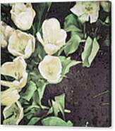 Paper Tulips 2 Canvas Print