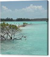 Caribbean Paradise In Turquoise Waters, Exuma Bahamas Canvas Print