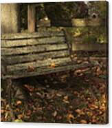 Park Bench And Autumn Leaves Canvas Print