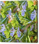 Pastel Blue Flowers Canvas Print
