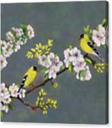 Pastel Painting Of American Goldfinches Canvas Print