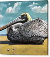 Patient Pelican Oil Painting Canvas Print