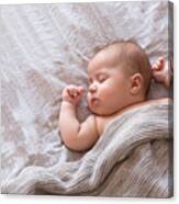 Peaceful Baby Lying On A Bed And Sleeping At Home Canvas Print
