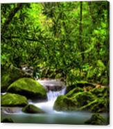 Peaceful Cascades In The Forest Canvas Print