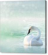Peaceful Pastel Teal Morning Swan Canvas Print