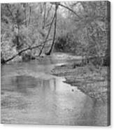 Peacefully Flowing Bw Canvas Print
