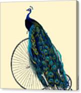 Peacock On A Bicycle, Home Decor Canvas Print