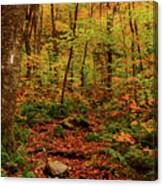 Peak Color In Vermont On The Appalachian Trail Canvas Print