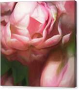 Pearly Pink Canvas Print