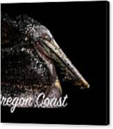 Pelican Coast Canvas Print