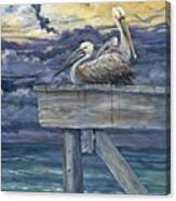 Pelican Dock Canvas Print