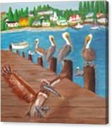 Pelican Haven Canvas Print