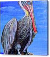 Pelican Post Canvas Print