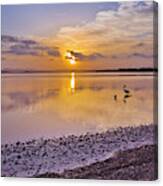 Pelican Sunset 9885 Canvas Print