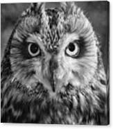 Penetrating Owl Gaze Canvas Print