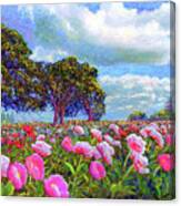 Peony Heaven Canvas Print