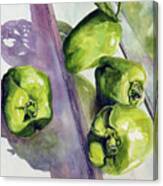 Peppers On The Windowsill Canvas Print