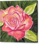 Perfect Moment Rose - Watercolor Canvas Print